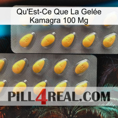 What Is Kamagra Jelly 100Mg cialis2
